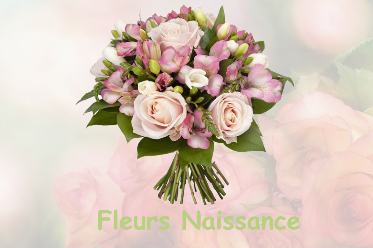 fleurs naissance RAMONVILLE-SAINT-AGNE