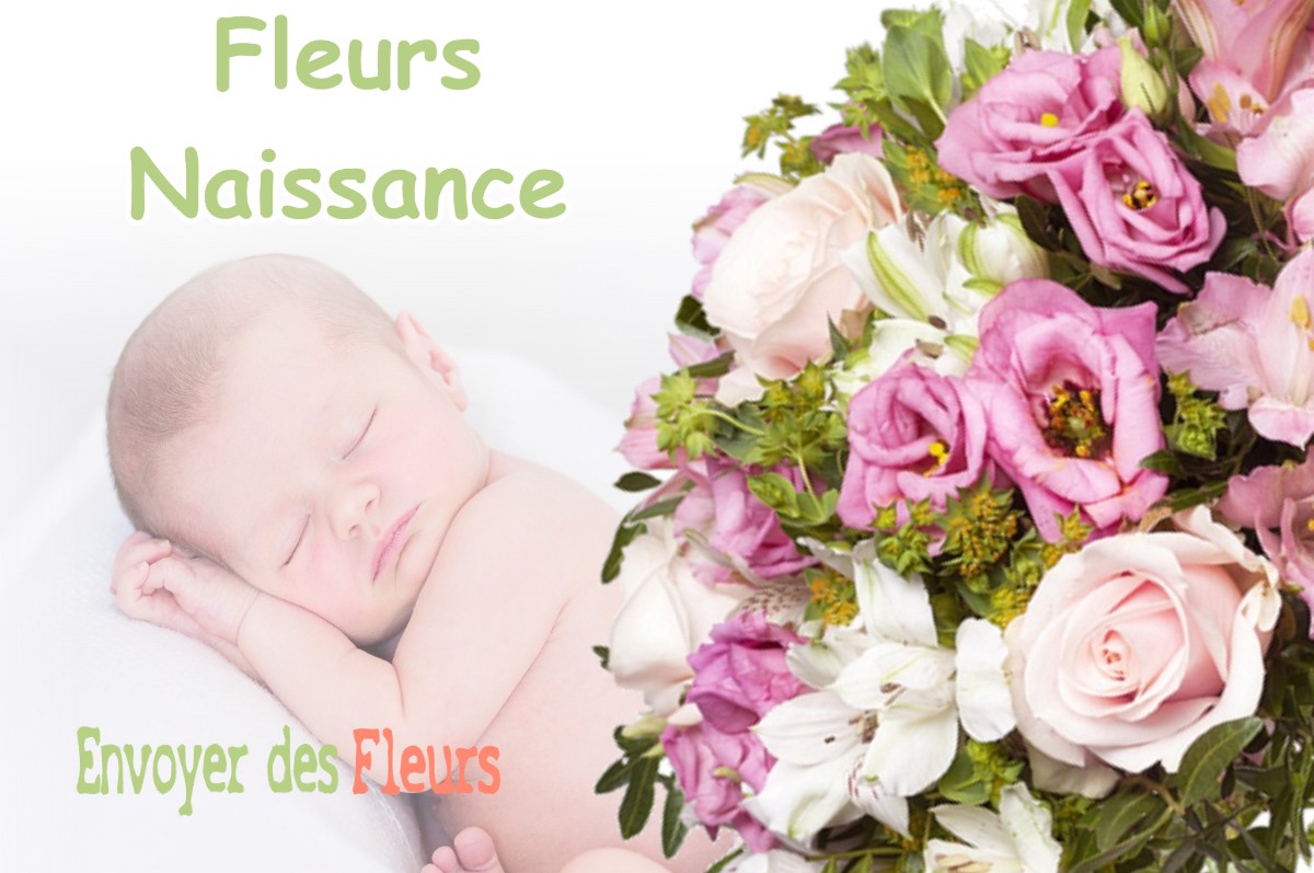 lIVRAISON FLEURS NAISSANCE à RAMONVILLE-SAINT-AGNE